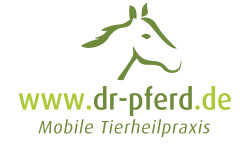 THP dr-pferd.de
